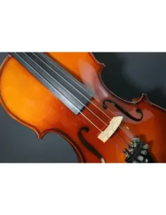 Juego Cuerdas Violín "Popular" G-105/3/4 2