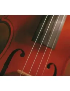 Juego Cuerdas Violín "Popular" V-105/1/2 2