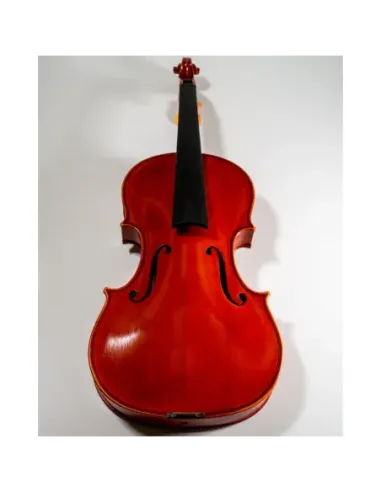 Violín Jay Haide Guarneri (No antique) 4/4