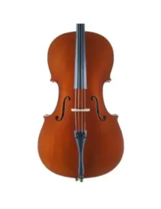 Cello Jay Haide Stradivari (No antique) 4/4 2