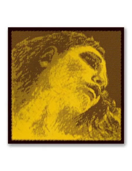 Cuerda 2ª Pirastro Viola Evah Pirazzi Gold 425221