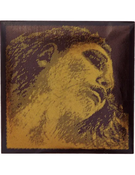 Juego Cuerdas Pirastro Viola Evah Pirazzi Gold 425021