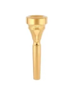 Boquilla Trompeta Denis Wick 4882-2W Dorada 2