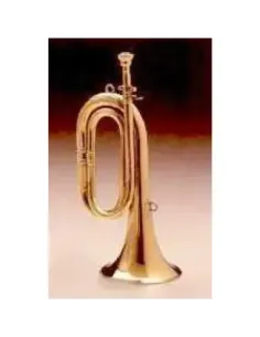 Corneta Honsuy Corta En Do Latón 70100 2