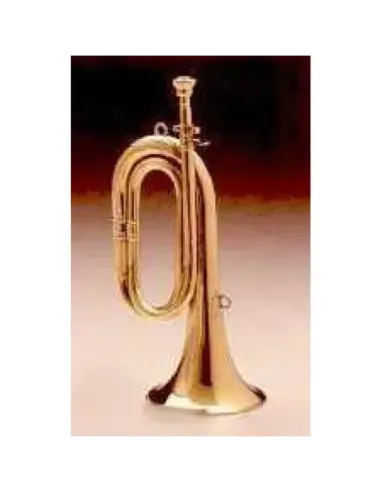 Corneta Honsuy Corta En Do Latón 70100