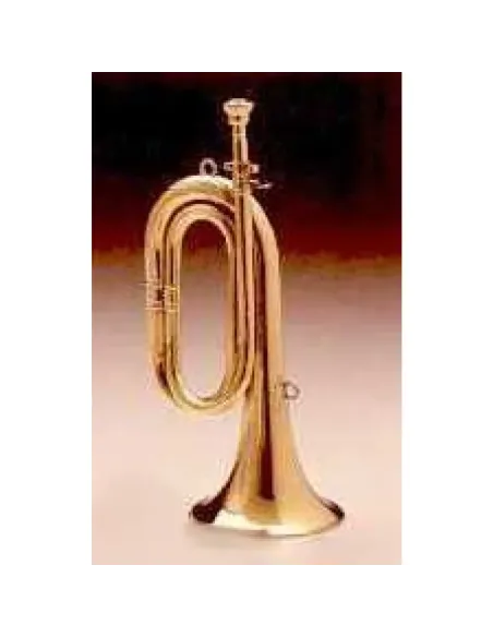 Corneta Honsuy Corta En Do Latón 70100