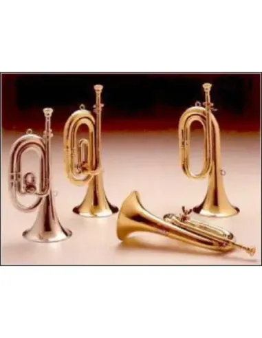 Corneta Honsuy Corta Do/Sib Mariposa Plateada 72200