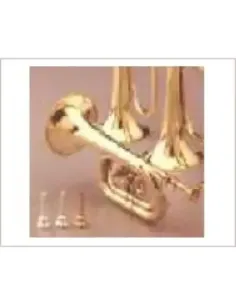 Corneta Honsuy Corta Do/Sib/Reb 2 Pistones Latón 70750 2