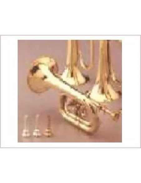 Corneta Honsuy Corta Do/Sib/Reb 2 Pistones Latón 70750