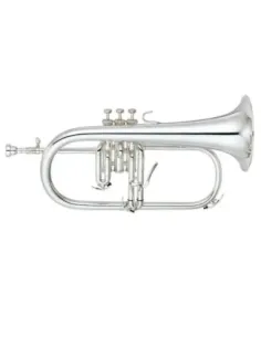 Fliscorno Pistones Fides FFL-4000ML Lacado 2