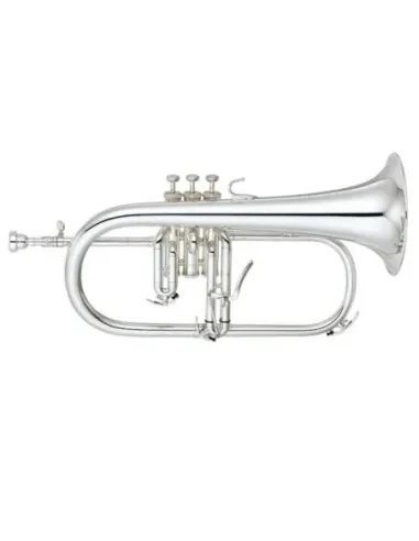 Fliscorno Pistones Fides FFL-4000ML Lacado