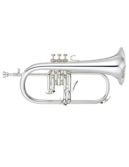 Fliscorno Pistones Fides FFL-4000ML Lacado