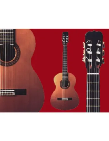 Guitarra Ramírez 1ª Especial Palosanto