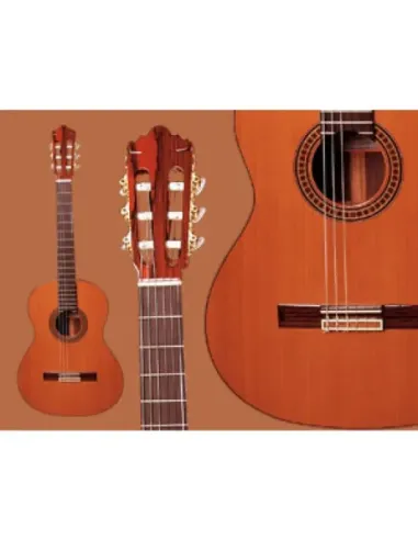 Guitarra Ramírez  4-NE Palosanto