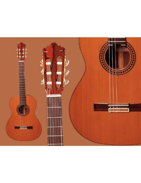 Guitarra Ramírez  4-NE Palosanto