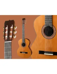 Guitarra Ramírez  RB Palosanto 2