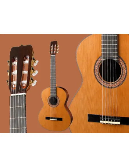 Guitarra Ramírez  RB Palosanto