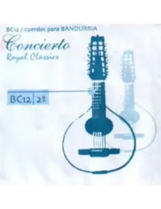 Cuerda 2ª Bandurria Royal Classics Concierto BC-12 2