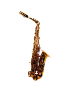 Saxo Alto Taylor Collins AS1964-CH Champagne 2