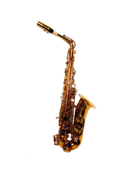 Saxo Alto Taylor Collins AS1964-CH Champagne
