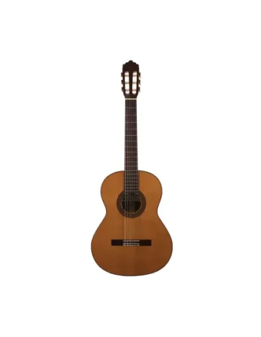 Guitarra Clásica Altamira N300+