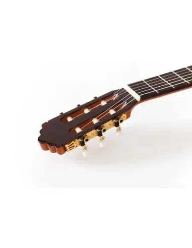 Guitarra Clásica Altamira N300+