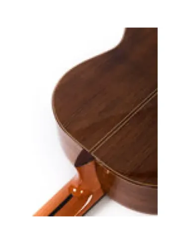 Guitarra Clásica Altamira N500+