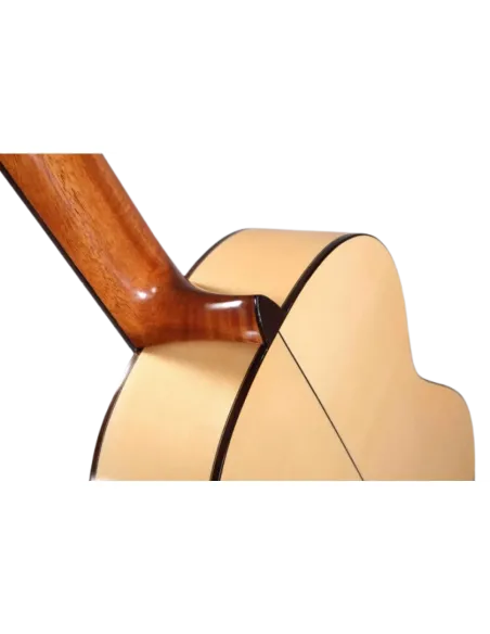 Guitarra Flamenca Altamira N300F+