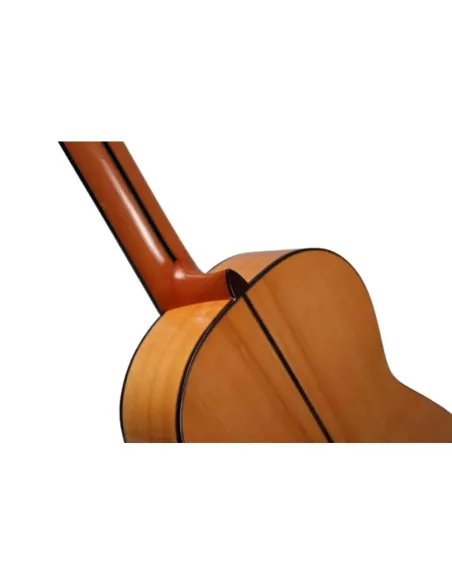 Guitarra Flamenca Altamira N700F+