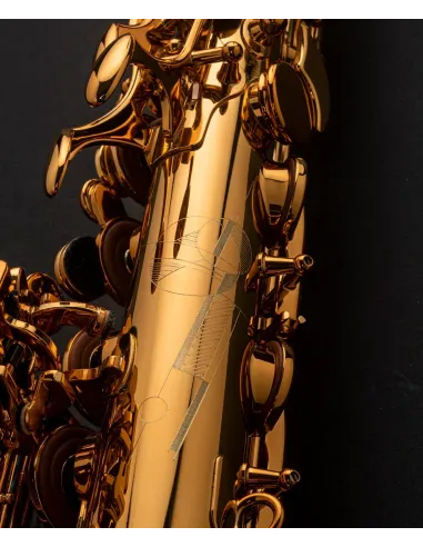 SELMER - Saxo Alto Signature Dorado Goldmessing Grabado (DGG)