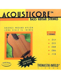Juego Bajo Acústico 5 cuerdas Thomastik AB-345 41-118