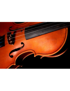 Juego Cuerdas Violín "Popular" G-105/4/4