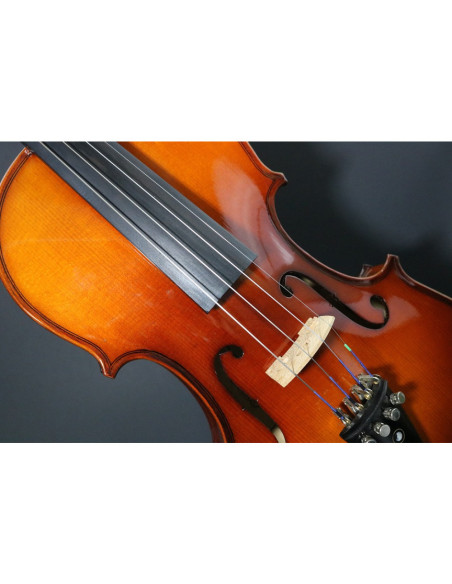 Juego Cuerdas Violín "Popular" G-105/3/4