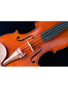 Juego Cuerdas Violín "Popular" G-105/1/8