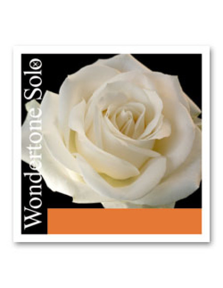 Juego Cuerdas Pirastro Violín Wondertone Solo 410521