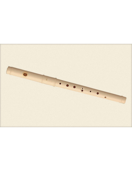Flauta Pifano Aulos C-21 Travesera 2 Piezas