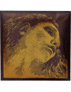 Cuerda 4 Pirastro Viola Evah Pirazzi Gold 425421