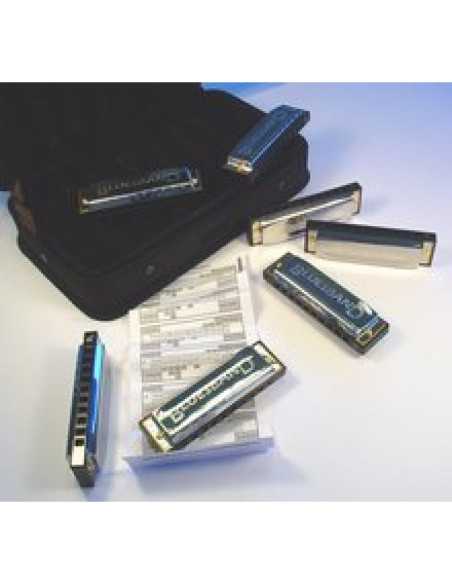 Maletin 7 Armónicas Hohner Blues Starter Set 91105
