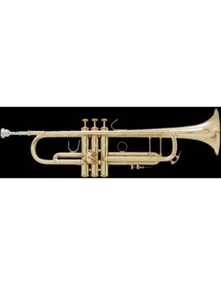 Trompeta Bach Stradivarius ML-180/43 Goldmessing