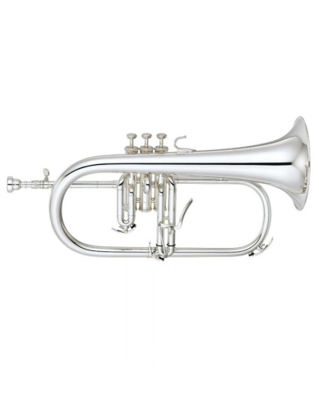 Fliscorno Pistones Fides FFL-4000ML Lacado