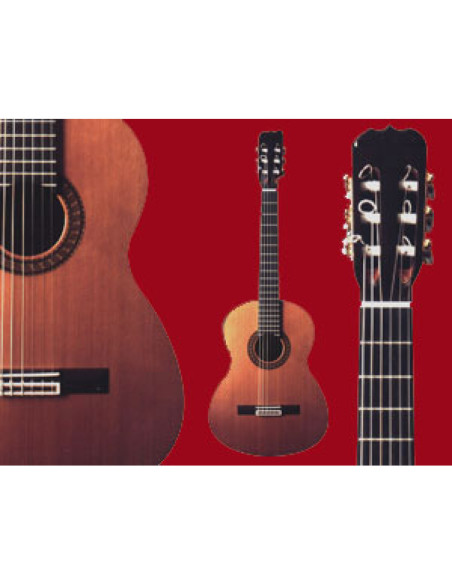 Guitarra Ramírez 1 Especial Palosanto