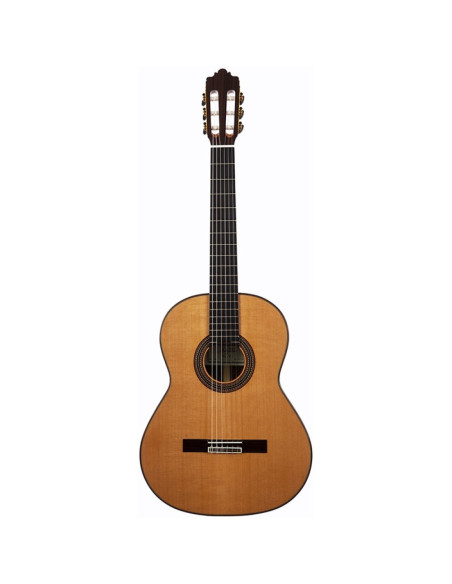 Guitarra Clásica Altamira N650+