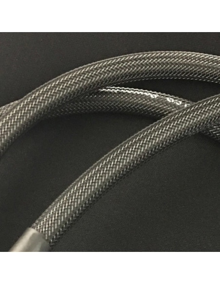 Tsunami Cable S03-ASCA Altavoz 1m Carbon