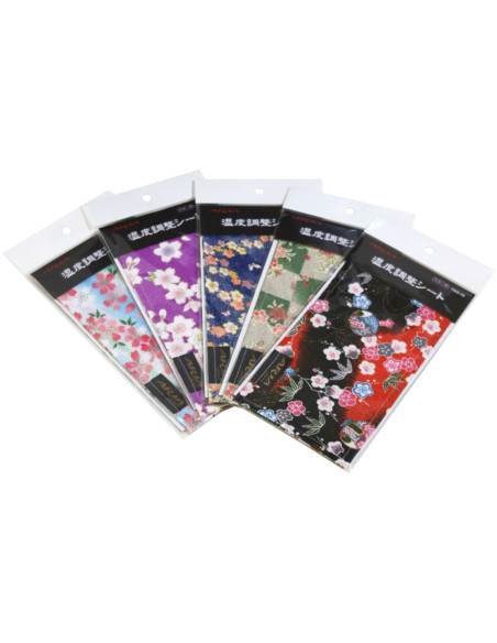 Humidificador Guitarra Aria HAS-28