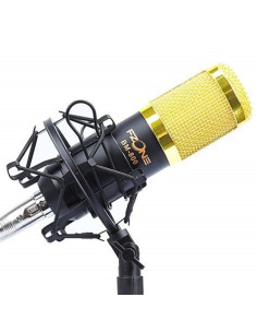 Kit Microfonía F-Zone BM-800