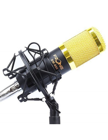 Kit Microfonía F-Zone BM-800
