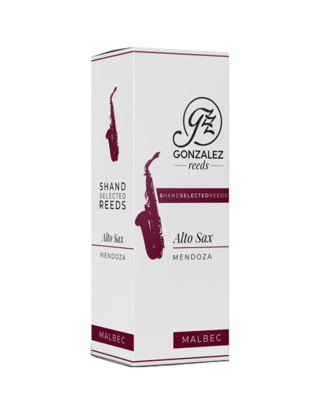 Caja 5 Cañas Saxo Alto Gonzalez Malbec 1½